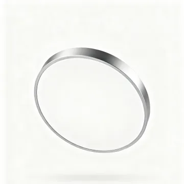 LED Ceiling Light with Color Change