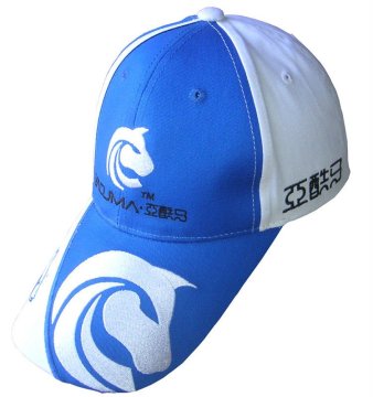 100%coton fashion sports cap/promotion cap/baseball cap--embroidery