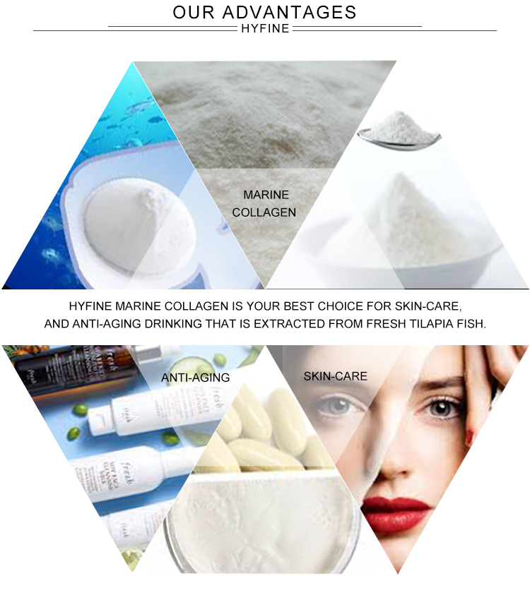 Skin Whitening Hydrolyzed Type I Pure Fish Beauty Collagen Peptide Powder