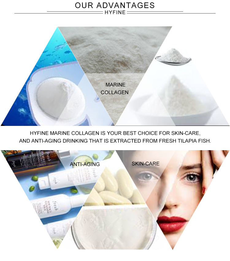 Promotion Development Type I Hydrolysed Sports Research Collagen Peptide Fish