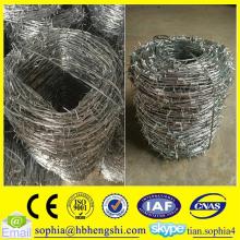 Hebei galvanized barbed wire/barbed wire fence/barbed wire mesh fence                        
                                                                                Supplier's Choice