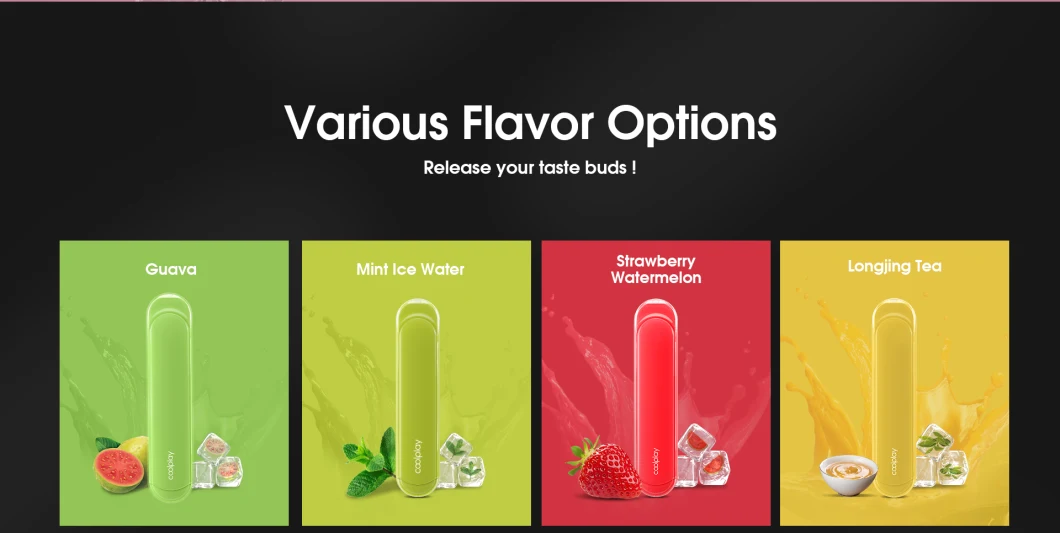 New Arrival Disposable Vape Pure Flavor Vape Electronic Cigarette Cool Play X10 500 Puff Bar Electronic Cigarette Vaporizer Vape Disposable Vape
