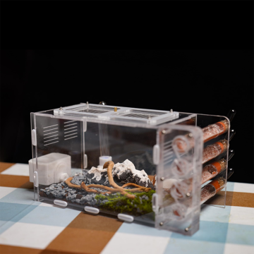 Rimsunta Ant Nest: Live Ant Habitat for Small Ant Clones and Natural Learning