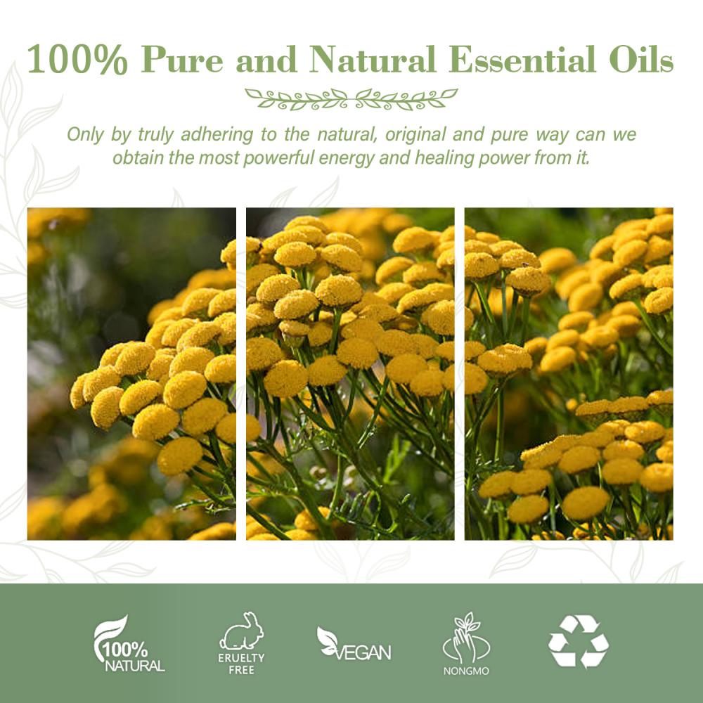 Hot Sale High Quality Blue Tansy Oil For Aromatherapy Oil