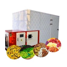100kg Dry Fruits Drying Machine | Dried Fruit Processing Equipment