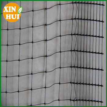 anti bird net for agricultural anti bird netting