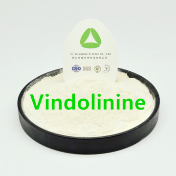 Vindolinine Powder Catharanthus Rostus Extraction CAS 5980-02-9