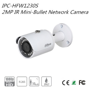 Dahua 2MP IR Mini-Bullet Network Camera(IPC-HFW1230S)