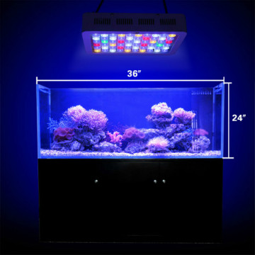 La luz de acuario de pescado LED de Marineland se puede personalizar
