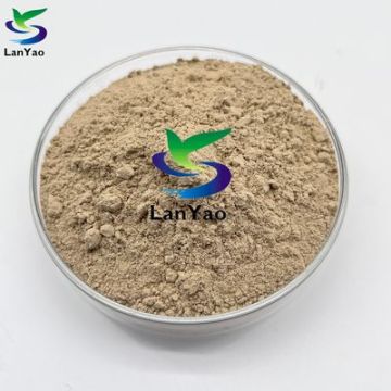 Nitrifying Bacteria Effective Wastewater Treatment