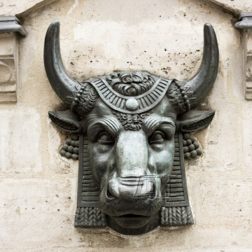 Custom wall decor metal bronze bull head sculpture
