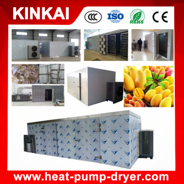 Eco-friendly fruit dryer/dried fruit production equipment