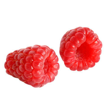 Fruit import/export, customs clearance, inspection, international transportation, credit insurance