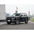 ماركة جديدة للعلامة التجارية الصينية هافال دوج أوتو بترول بسعر موثوق وسريع سيارات البنزين 4WD سيارات الدفع الرباعي