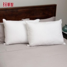 100% Down Pillow, Customized size and weight down/Feather Pillow