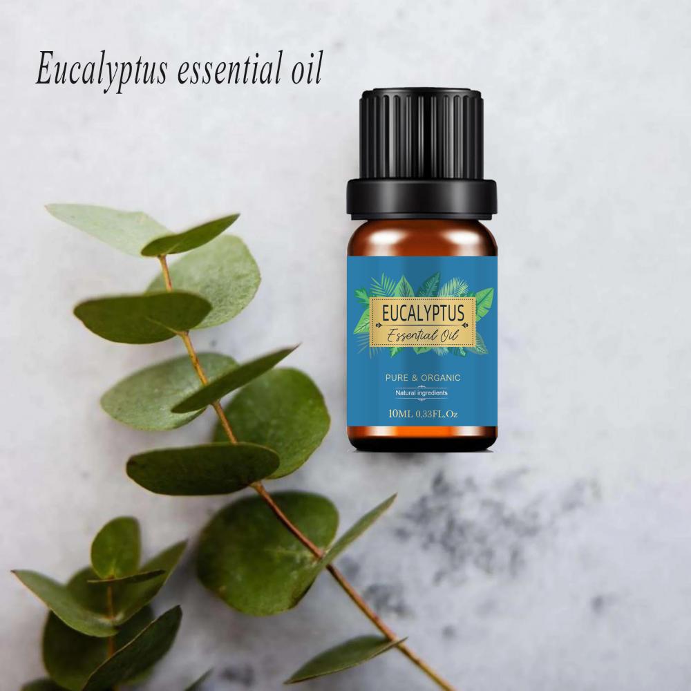 En gros 100% d&#39;huile essentielle d&#39;eucalyptus naturel à 100% pur huile d&#39;eucalyptus biologique