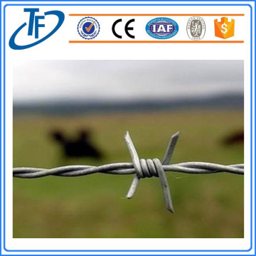 Concertina Barbed Wire/High Quality Concertina Barbed Wire