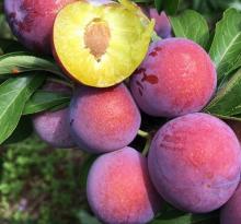 A top footballer's girlfriend free time