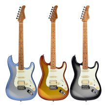 Professional Electric Guitar Solo With Bag