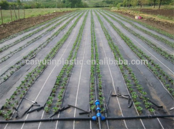 black plastic ground cover