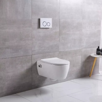 Düsentoilette Bidet European Standard Wall HungToilet