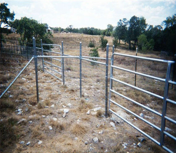 Popular Hot Dip Galvanized Fence