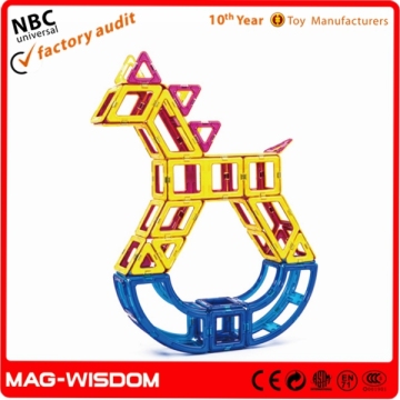 Magnetic Wisdom Toys
