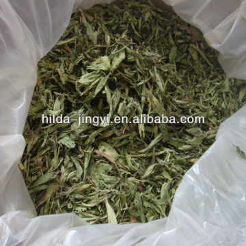 Dried stevia leaves