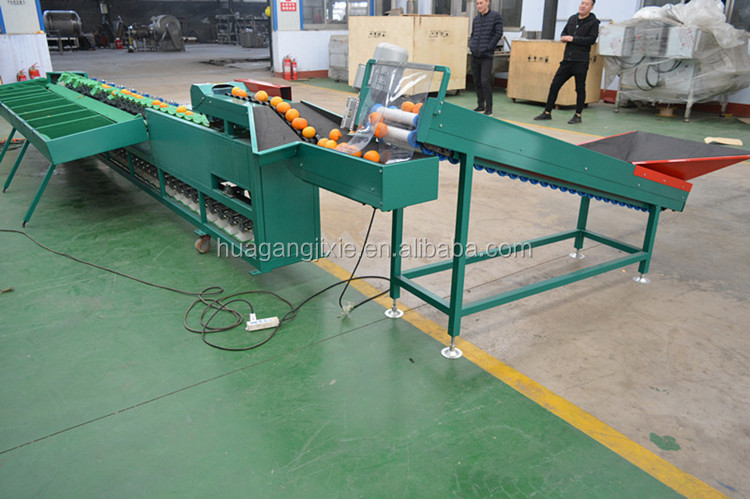 Automatic tomato fruit weight sorter pomegranate sorting machine mandarin and orange grading sorting machine.