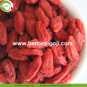 Groothandel Nutrition Natural Goji Bessen uit Maleisië