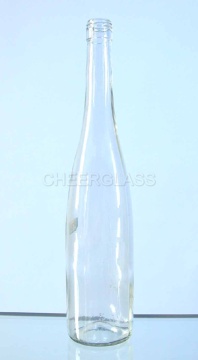 Glass Wine Bottle, Klein Bottle (PT700-2004)