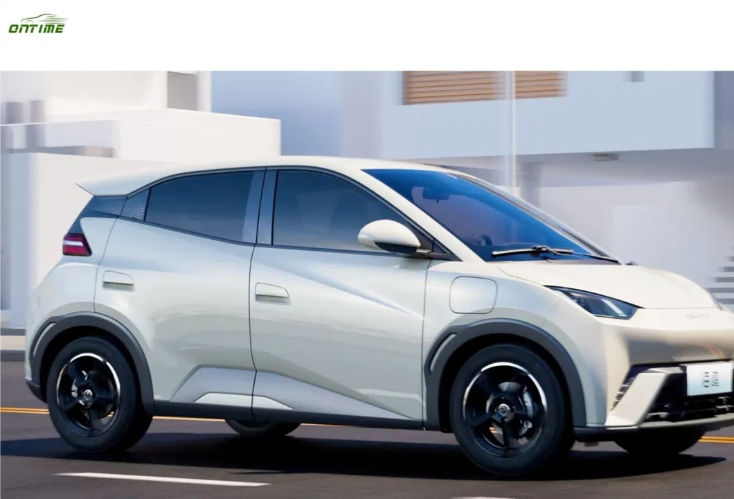 China Ontimeseagull New Energy Electric Vehicle Small Household Vehicle