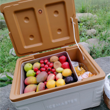 Outdoor Portable Trolley Coolers: 7L, 14L, and 38L Camping Picnic Food Ice Cooler Bags