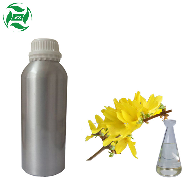 น้ำมันหอมระเหยจากสมุนไพรจีน Weeping Forsythia Essential Oil Wholesale