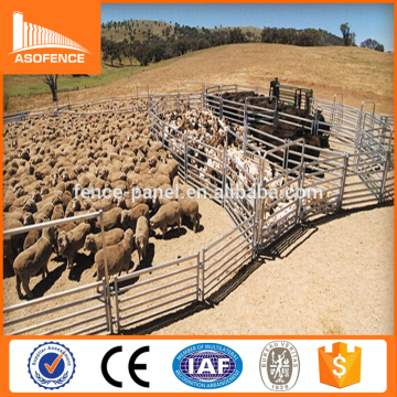 goat farm equipment/cattle yard fence/sheep handling equipment