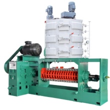 Groundnut Oil Extraction Processing Machines: Hot & Cold Oil Processing Solutions