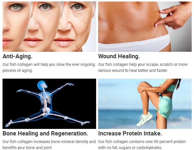 type II collagen peptides for health food and cosmetic