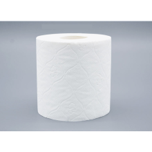 Papier toilettes 24 Mega Rolls de famille 2-PLY