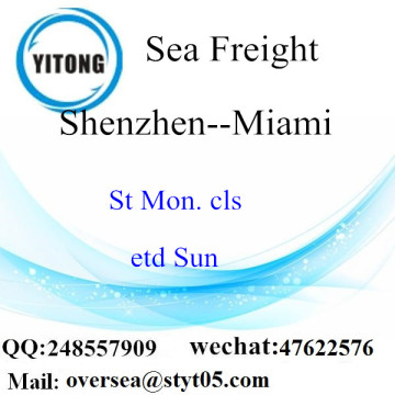 Shenzhen?Port?LCL?Consolidation?To Miami
