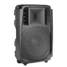 15inch Speaker PA Speaker with Class-AB Mono Amplifier