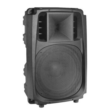 15inch Speaker PA Speaker with Class-AB Mono Amplifier