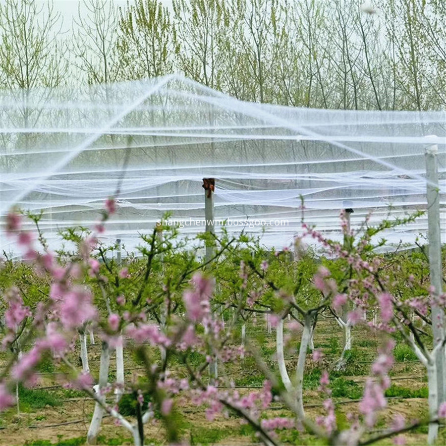 White Uv Bird Net