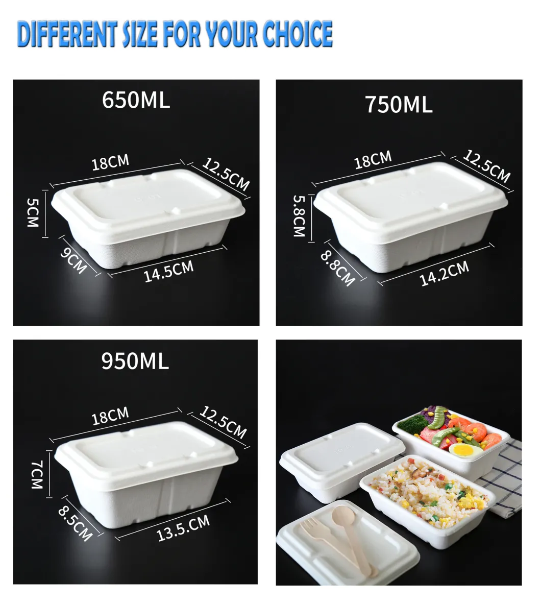 Disposable Biodegradable Eco Sugarcane Bagasse Paper Food Container Tray