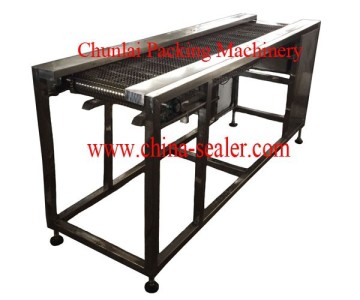 Stainless Steel Web Type Conveyor