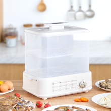 2023 New Home Kitchen Electric Multifunctional 2-Layer Steamer