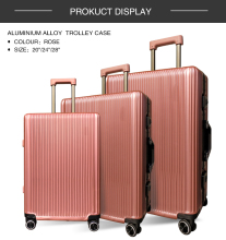 OEM Carry-On Aluminum Luggage Case