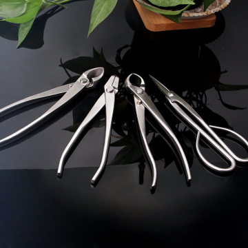 Stainless Steel Bonsai Tool Set: Knob Cutter, Concave Cutter, Jin Pliers & Scissors
