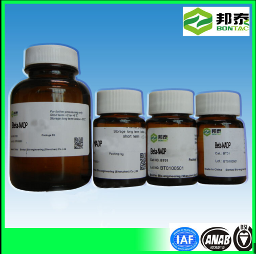 beta-Nicotinamide-adenine dinucleotide phosphate, reduced form NADPH 2646-71-1