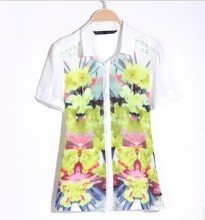 Lady's Fashion Pinting Blouses (C912)