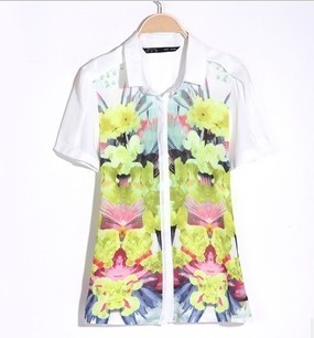 Lady's Fashion Pinting Blouses (C912)